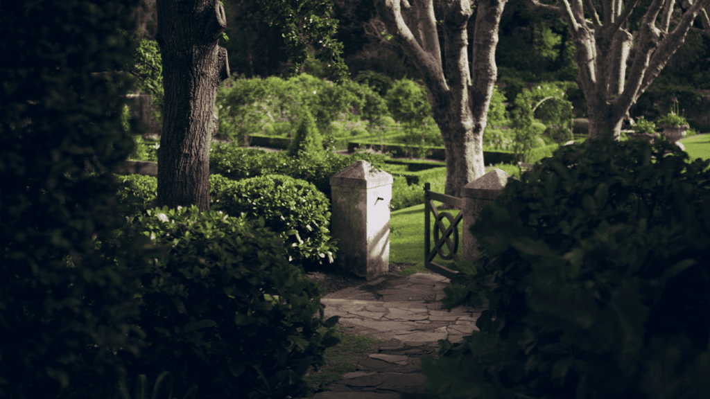 beyond-the-walled-garden-thumbnail